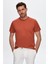 D'S Damat Kiremit %100 Pamuk T-Shirt 0DC141020510M 1