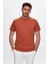 D'S Damat Kiremit %100 Pamuk T-Shirt 0DC141020510M 2