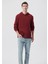 Erkek Kapüşonlu Kırmızı Basic Sweatshirt 0610937-85633 1