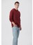 Erkek Kapüşonlu Kırmızı Basic Sweatshirt 0610937-85633 2