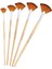 5 Fan Boya Fırçası Set Fırçaları Ahşap Tutamak Başlayanlar Zanaat (Yurt Dışından) 1