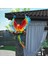 Parrot Heykel Kuş Heykeli Palrot Duvar Dekoru Için Veranda Balkon Dekorasyonu Kırmızı (Yurt Dışından) 5