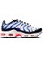 Air Max Plus 1