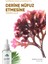 Hyaluronic Acid Serum 30 ml (Nemlendirici Canlandırıcı Dolgunlaştırıcı) Hyaluronıc Acid %2 + B5 3