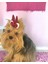 Köpek Tokası Bunny Red Toka Köpek Aksesuar 2
