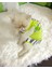 Lime Fuzz Tişört ve Iç Çamaşırı Set Kedi Kıyafeti Kedi Kostümü 4