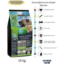Pro Dog Indıvıdually Kuzu Etli & Somonlu Yetişkin Ultra Premium Köpek Maması (15KG)