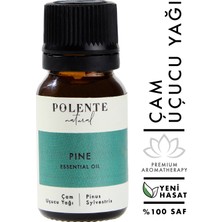 Polente Natural Çam Uçucu Yağı (10 ml)