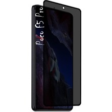 Xiaomi Poco F5 Pro Mat Hayalet Ekran Koruyucu Cam Parmak Izi Yapmaz Esnek Kırılmaz Nano