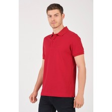 Msw Levi Pamuk Regular Fit Erkek Polo Tshırt