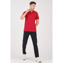 Msw Levi Pamuk Regular Fit Erkek Polo Tshırt