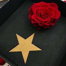 Paspasın Bahçeleri Premium Kutuda Solmayan Şoklanmış Kırmızı Gül - Stars Koleksiyonu