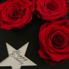 Paspasın Bahçeleri Kutuda Solmayan Kırmızı Ekvator Gülleri - Doğum Günü Çiçek - Stars Koleksiyonu