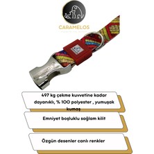 Caramelos Köpek Tasma Seti Göğüs Boyun Gezdirme