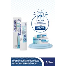 Lipstick Spf 30 Güneş Koruyuculu 4,5 gr 3 Adet Onarıcı Bakım Merhemi 3,5 gr