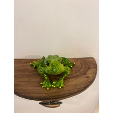 Rahan Biblo Kurbağa Kermit Şans Para Kurbiş