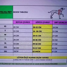 Atelyu Pet Kedi Köpek Kıyafetleri College Kırmızı Mont