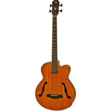 Aria FEBF2MSTBR Akustik Bas Gitar