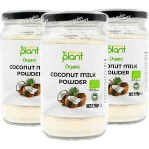 Güzel Ada Gıda Organik Hindistan Cevizi Sütü Tozu 3 x 120 gr