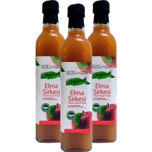 Güzel Ada Gıda Organik Elma Sirkesi 3X500 ml