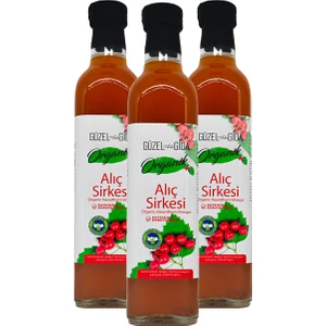 Güzel Ada Gıda Organik Alıç Sirkesi 3x500 Ml