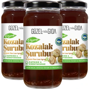 Güzel Ada Gıda Organik Kozalak Şurubu 3X230 ml