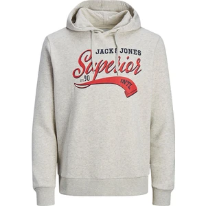 Jack & Jones Erkek Kapşonlu Sweatshirt 12233597