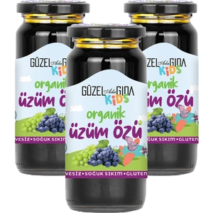 Güzel Ada Gıda Kids Organik Üzüm Özü 3x290 Gr (Soğuk Sıkım)