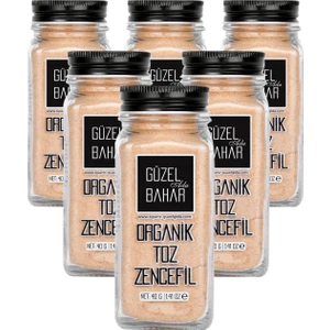 Güzel Ada Gıda Organik Toz Zencefil 6x40 Gr