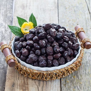 Tacir Depo Tüplü Salamuralık Gemlik Zeytin Fidanı