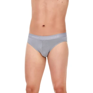 Yıldız Çamaşır Erkek Gri 3'lü Paket Kemerli Modal Slip