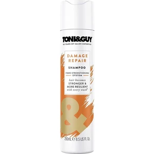 Damaged Repair Shampoo Yıpranmış Saçlar İçin Şampuan 250 ml