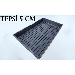 Fide Viyol Tepsisi, Fide Tepsisi 5 cm Derinlik (100 Adet)