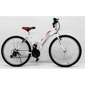 24 Jant Bisiklet 8-9 Yaş Biisklet