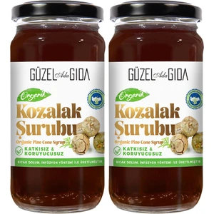 Güzel Ada Gıda Organik Kozalak Şurubu 2X230 ml