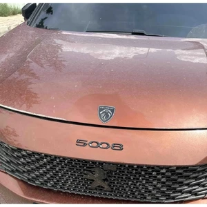 Yeni Peugeot Logo 3D Arma Amblem Sticker