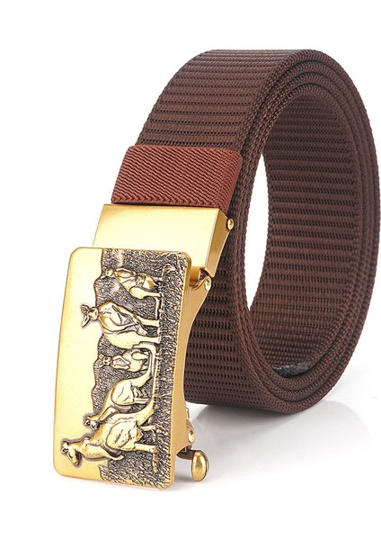 Erkekler Için Dişsiz Alaşımlı Otomatik Tokalı Naylon Kemer (Yurt Dışından)