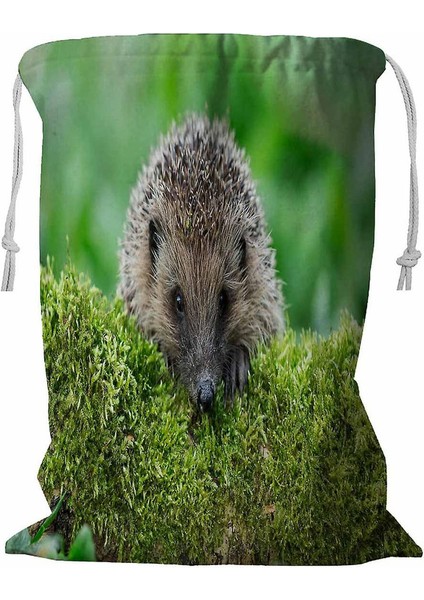 Ipli Yeşil Kirpi Çamaşır Sepeti 45X60 cm (Yurt Dışından)