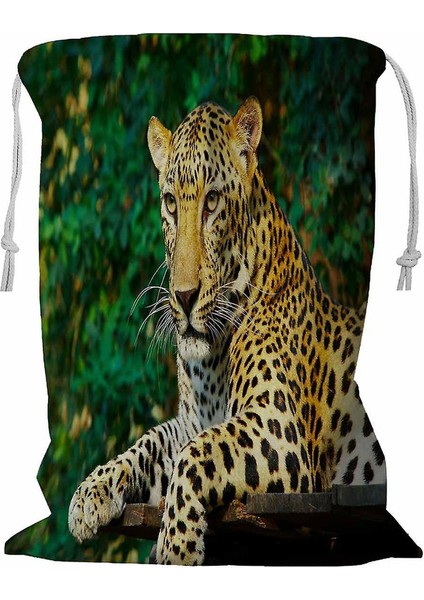 View Nice Leopar Kedi Ipli Çamaşır Sepeti 45X60 cm (Yurt Dışından)