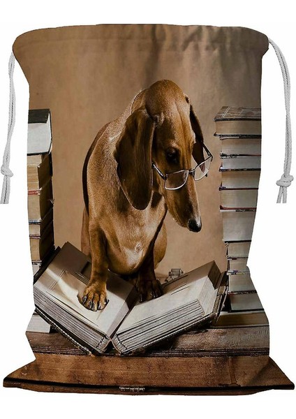 Dachshund Profesör Ipli Çamaşır Sepeti 45X60 cm (Yurt Dışından)