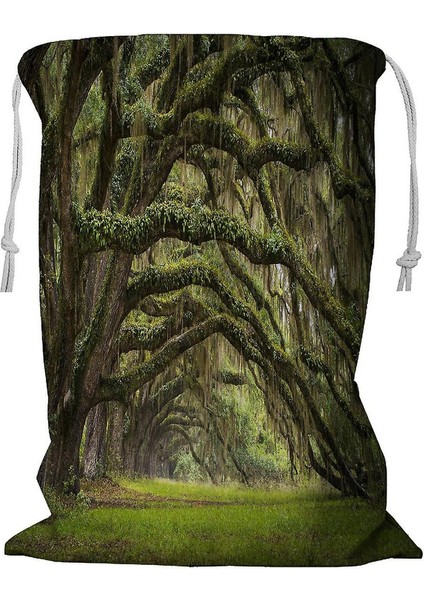 Oaks Avenue Plantasyon Canlı Meşe Ağaçları Orman Manzarası Ipli Çamaşır Sepeti 45X60 cm (Yurt Dışından)