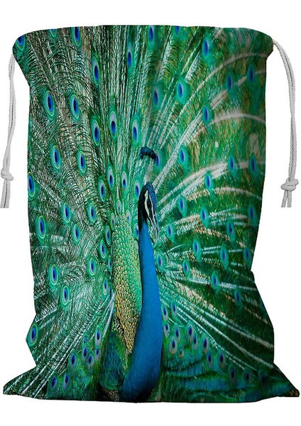 Tüylü Tavuskuşu Portresi Ipli Çamaşır Sepeti 45X60 cm (Yurt Dışından)