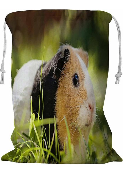Guinea Pig Ipli Evcil Hayvan Çamaşır Sepeti 45X60 cm (Yurt Dışından)