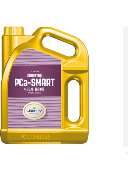 Pca-Smart (5 Lt)