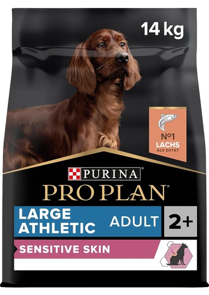 Large Athletic Somonlu Köpek Maması - 14 kg
