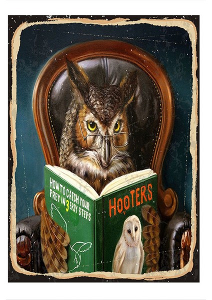 Kitap Okuyan Baykuş Desenli Mdf Tablo