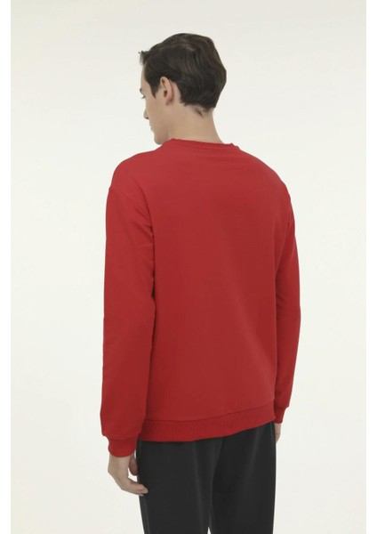 SN75 Bs C Neck Sw 3pr Erkek Sweatshırt fiyatları