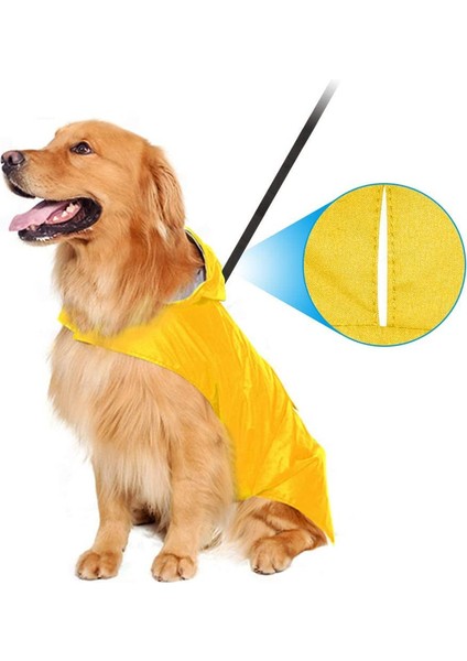 Köpek Yağmurluk (Yurt Dışından) modelleri