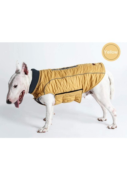 Köpek Yağmurluk (Yurt Dışından) modelleri