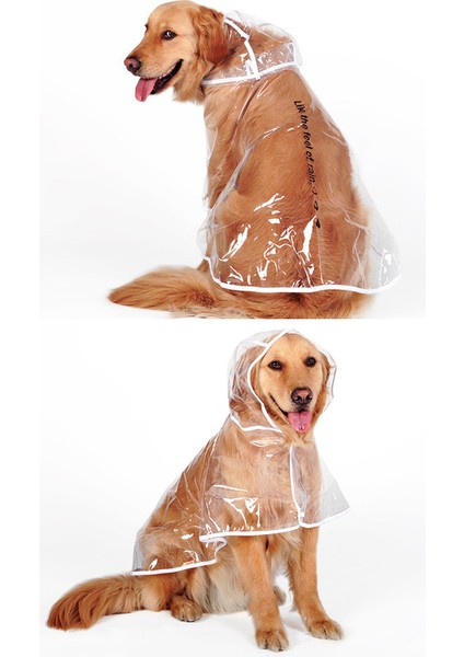 Köpek Yağmurluk (Yurt Dışından) modelleri